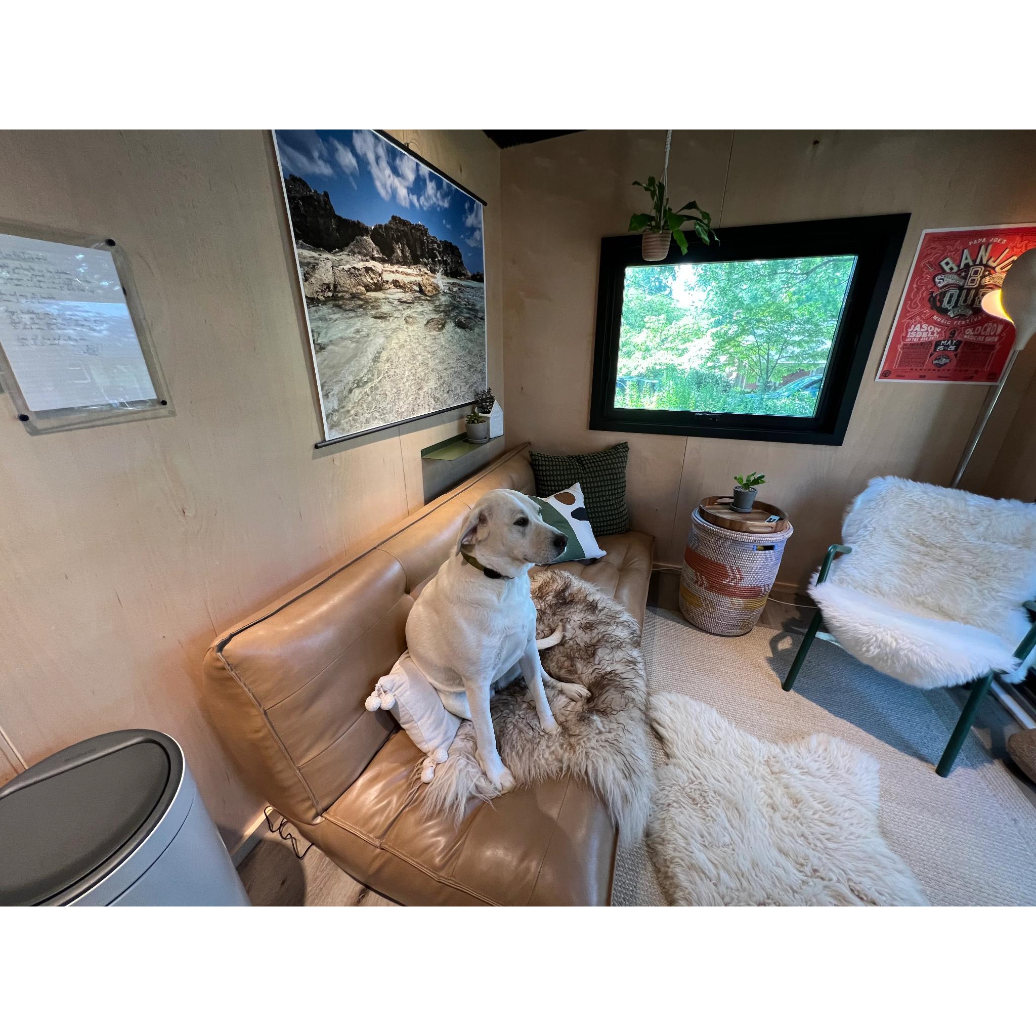 Mini-O Turnkey Outdoor Pod - The Sixteen Pod